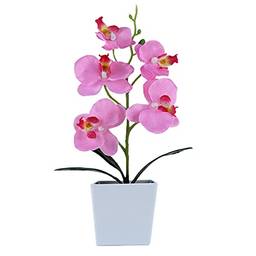 Heave Orquídeas artificiais com vaso branco, orquídeas falsas plantas de seda flor bonsai decoração para mesa de escritório em casa decoração de festa de casamento rosa