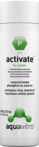 Seachem Aquavitro Activate - Fósforo Desenvolvimento Plantas - 150ml