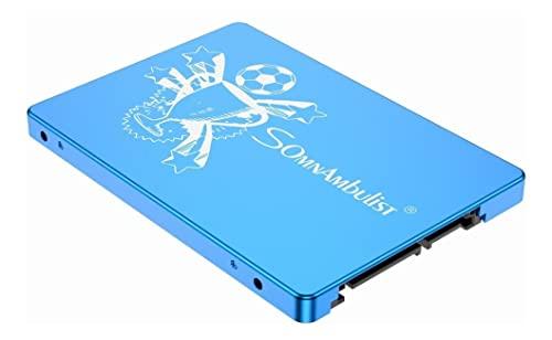 Somnambulist SSD 240GB SATA III 6GB/S Interno Disco sólido 2,5”7mm 3D NAND Chip Up To 520 Mb/s Para Laptop Desktop (Azul Troféus-240GB)