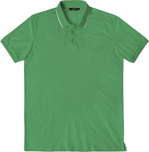 Camisa Polo Piquet Color, Aramis, Masculino, Verde Bandeira, GG