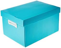 Polibras Caixa Organizadora The Best Box G, 437x310x240mm, Verde Pastel