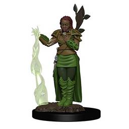 Galápagos, Dungeons & Dragons: D&D Icons of the Realms Premium Figures: Human Female Druid, RPG