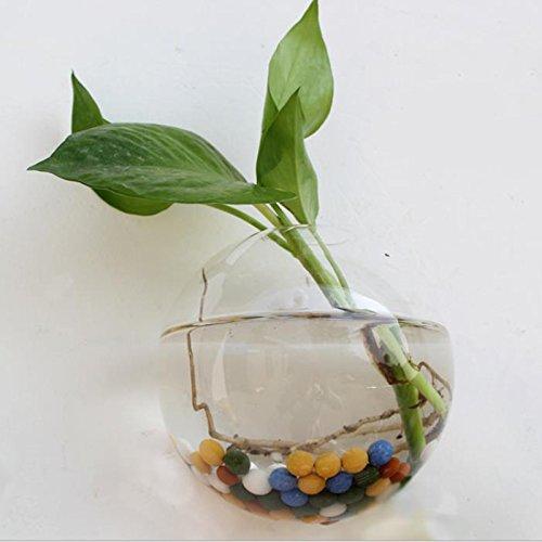 Tanque de peixe para pendurar na parede, vaso de vidro hidropônico para decoração de parede da sala de estar, diâmetro simulircular de 15 cm