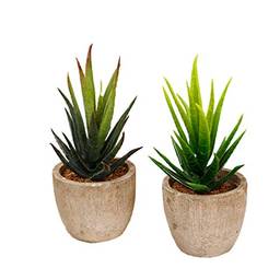 VOSAREA 2 peças de plantas suculentas artificiais Aloe em vaso de flores cafeteria decoração escolar
