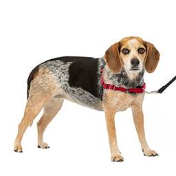 PetSafe Arreio para cães Easy Walk, arreio para cães sem puxar, vermelho/preto, pequeno/médio
