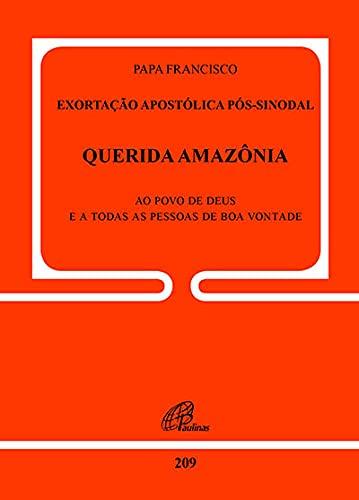 Exortação apostólica pós-sinodal - Querida Amazônia - Doc.209
