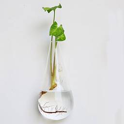 Aquário para pendurar, vaso de vidro hidropônico de parede para decoração de sala de estar - formato de gota