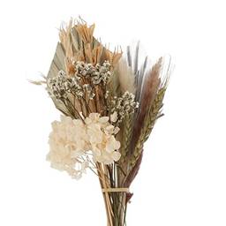gazechimp Decoração de flores secas, arranjos de folhas e plantas para decoração vaso de decoração de, Castanho