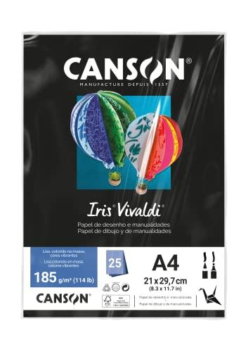CANSON Iris Vivaldi, Papel Colorido A4 em Pacote de 25 Folhas Soltas, Gramatura 185 g/m², Cor Preto (38)