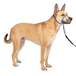 PetSafe Coleira de cabeça suave Leader, coleira de cachorro sem puxar, perfeita para treinamento de coleira e arreio, Médio, azul royal