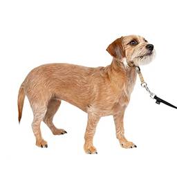 PetSafe, Coleira para cães Gentle Leader Headcollar que não puxa, Fawn, pequena até 11 kg.
