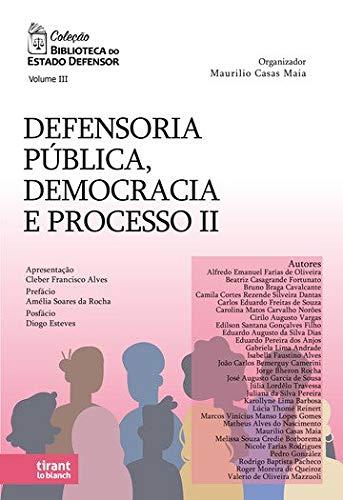 Defensoria Pública, Democracia e Processo II