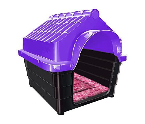 Casa Em Plástico Para Cachorros N5 Com Colchão De Brinde Cor:lilás