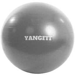 Bola Pilates Suíça Exercícios Yoga 65cm Com Bomba Yangfit