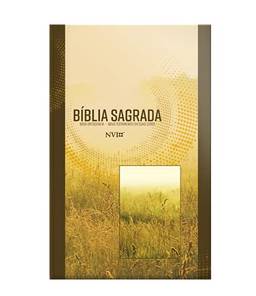 Bíblia Sagrada grande NVI - Brochura - Neutra