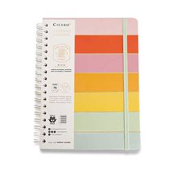 Caderno Wire-o Todas Juntas Pautado, Cicero, 4790, 18x24 Arco Íris, Multicolorido, Grande