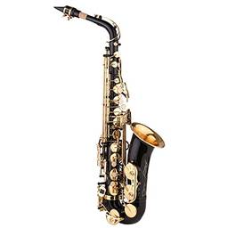 Saxofone Saxofone Saxofone E-bemol de tinta preta para estudante iniciante Jogador intermediário Saxofone alto Eb de latão com boquilha Bolsa de transporte Pano de limpeza Escova Correi