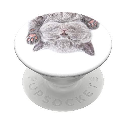 Popsockets GEN2 Cat Nap Graphic Suporte Para Celular Popsocket Pop socket Original Usa Clip