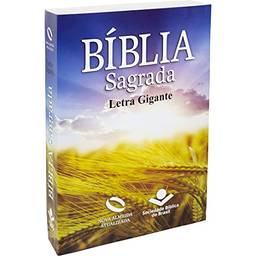 Bíblia Sagrada Letra Grande - Capa ilustrada: Nova Almeida Atualizada (NAA)