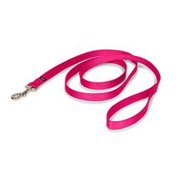 PetSafe Coleira de nylon para cães – Correia de estilo tradicional forte, durável com encaixe de parafuso fácil de usar – 1,9 cm x 1,8 m, rosa framboesa