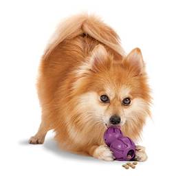 PetSafe Busy Buddy Barnacle – Brinquedo para mastigar cães – Brinquedos para cães dispensadores de petiscos