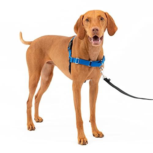 PetSafe Peitoral para cães Easy Walk, sem puxar, azul royal/azul marinho, médio (066938)