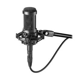 audio-technica Microfone Profissional Audio technica - AT2050, preto