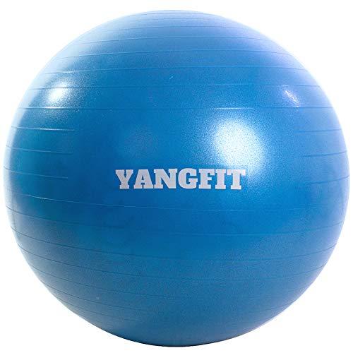 Bola Pilates Suíça Exercícios Yoga 55cm Com Bomba Yangfit
