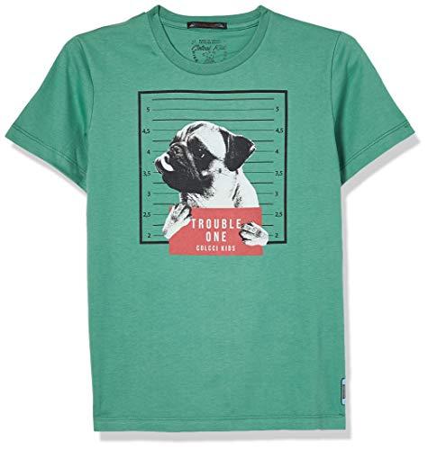 Camiseta Pug: Trouble One, Colcci Fun, Meninos, Verde Miller, 6