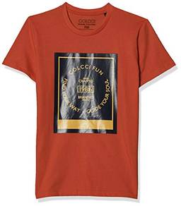 Camiseta Estampada Colcci Fun, Meninos, Laranja Red Orange, 16