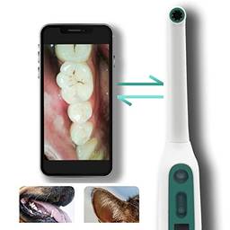 Sem fio WiFi HD USB Câmera Oral Oral Endoscópio Dispositivo Dentista Luz LED Inspeção de Vídeo em Tempo Real Clareamento dos Dentes