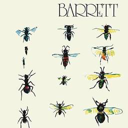 Barrett [Disco de Vinil]