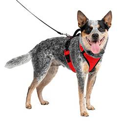 PetSafe Peitoral para cães EasySport, peitoral ajustável acolchoado para cães com alça de controle e tubulação reflexiva
