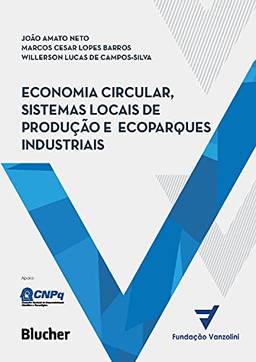 Economia circular, sistemas locais de produção e ecoparques industriais: Princípios, modelos e casos (aplicações) (Série Fundação Vanzolini)