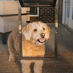 PetSafe Porta de tela para animais de estimação – Aba para cães e gatos para porta de tela, pequena, janela, porta de tempestade e varanda