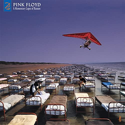 A Momentary Lapse Of Reason (Remixed & Updated) [Disco de Vinil]