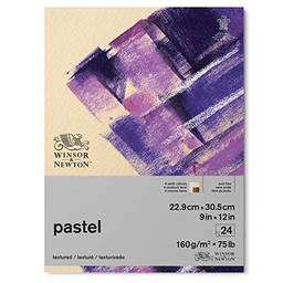 Winsor & Newton Bloco de papel pastel profissional, 22,86 cm x 30,48 cm, 24 folhas, 160 g/m², cores da terra
