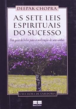As sete leis espirituais do sucesso (miniedição)