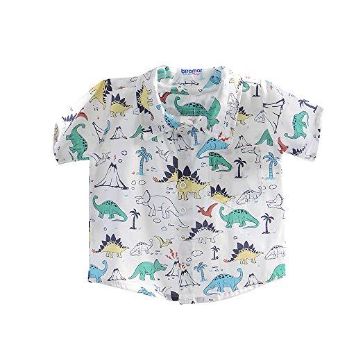 Camisa Para Bebê e Kids P Dinossauro dos Bês, Biramar Baby, Multicor, P