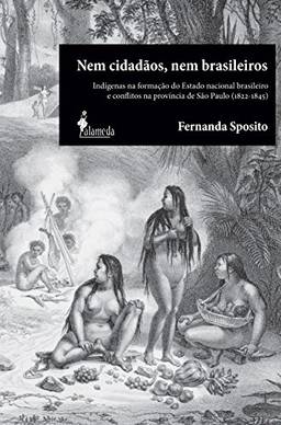 Nem Cidadãos, nem Brasileiros: Indígenas na Formação do Estado Nacional Brasileiro e Conflitos na Província de São Paulo (1822-1845)