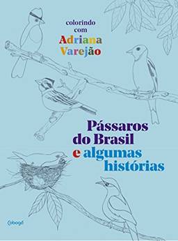 Pássaros do Brasil e algumas histórias: colorindo com Adriana Varejão