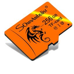 Somnambulist Cartão Micro SD Card 256GB TF Card de Velocidade de Vídeo C10 Certificação Desempenho A1 Aplicativo (Dragão 256GB)