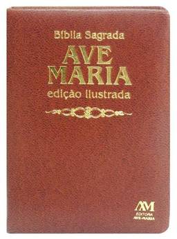 Bíblia edição ilustrada luxo - média - marrom: Ilustrada - Média - Marrom