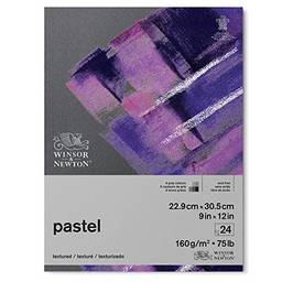 Winsor & Newton Bloco de papel pastel profissional, 22,86 cm x 30,48 cm, 24 folhas, 160 g/m², tons de cinza