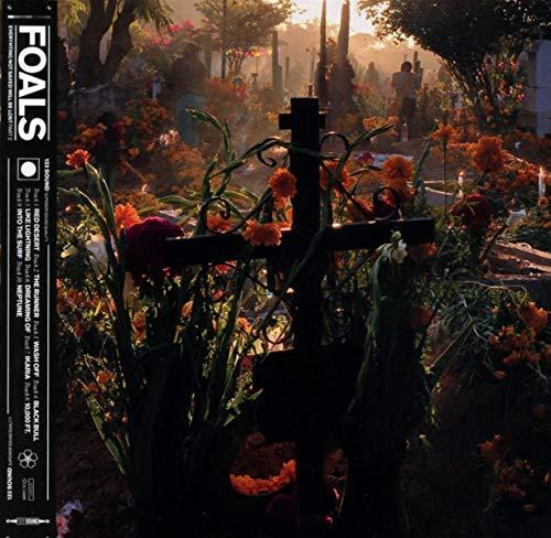 FOALS - EVERYTHING - NOT SAVED WILL BE LOST