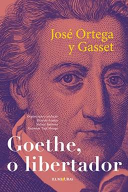 Goethe o libertador: e outros ensaios