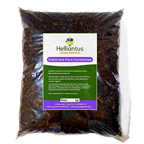 Substrato para Suculentas Orgânico 2kg - Helliantus