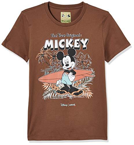 Colcci Fun Camiseta Mickey Surf, 14, Marrom Baoba