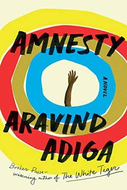 Amnesty: A Novel