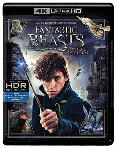 Fantastic Beasts and Where to Find Them (4K Ultra HD + Blu-ray )